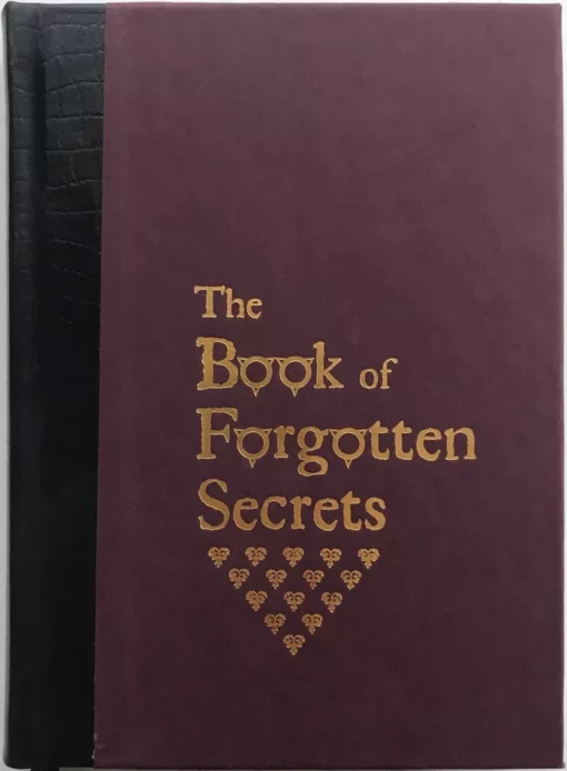 The Book of Forgotten Secrets by Stephen Hobbs