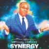 [Magic Video] Synergy by Michael Vincent ( Instant Download )