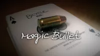 Magic Bullet by Carl Irwin.