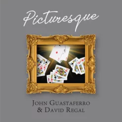 John Guastaferro & David Regal - Picturesque ( Instant Download )