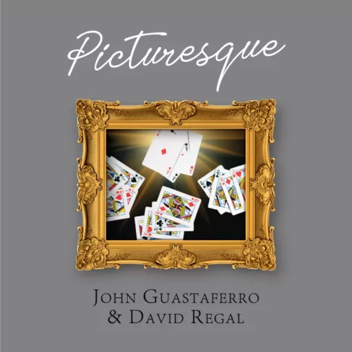 John Guastaferro & David Regal - Picturesque ( Instant Download )