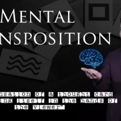 MENTAL TRANSPOSITION BY SMAYFER.