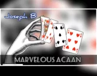 MARVELOUS ACAAN by Joseph B.