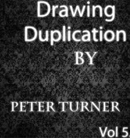 Drawing Duplications Vol 5 by Peter Turner.