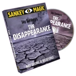 The Disappearance by Jay Sankey.