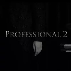 Professional 2 by Kim Hyun Soo ( Instant Download )