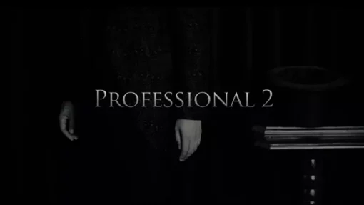 Professional 2 by Kim Hyun Soo ( Instant Download )