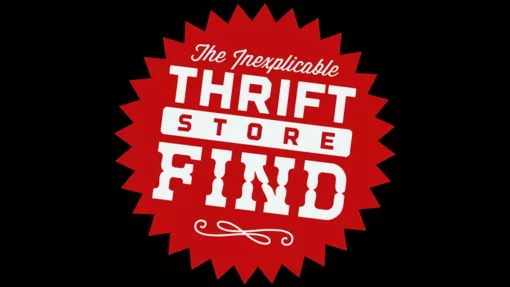 Inexplicable Thrift Store Find by Phill Smith ( Instant Download )