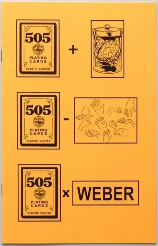 505 Lecture Notes by Michael Weber.