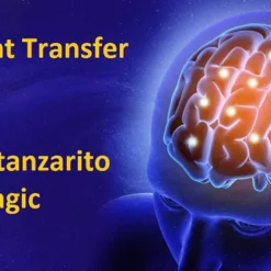 Thought Transfer by Catanzarito Magic.