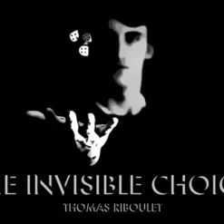 The Invisible Choice by Thomas Riboulet.