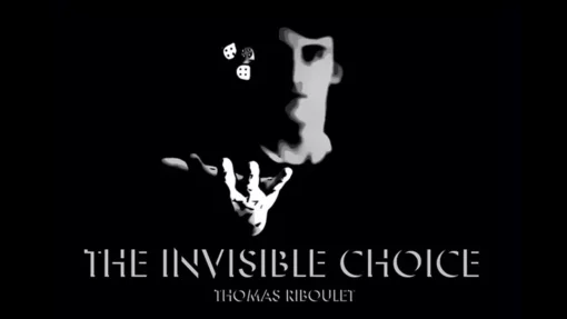 The Invisible Choice by Thomas Riboulet.