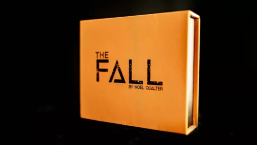 The Fall  by Noel Qualter.