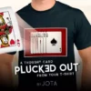 PLUCKED OUT  by JOTA.