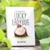 [Magic Video] Lucky Ladybug by Joshua Ray & Deuce Gala Magic.