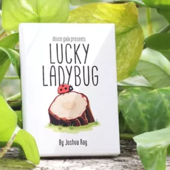 Lucky Ladybug by Joshua Ray & Deuce Gala Magic.