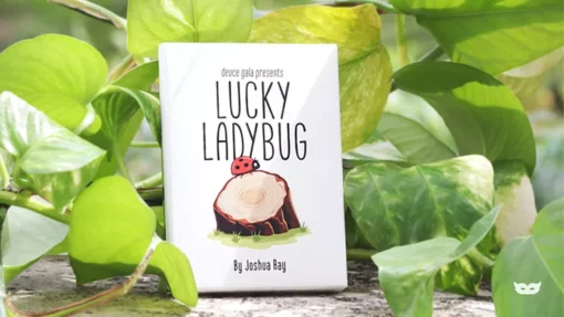 Lucky Ladybug by Joshua Ray & Deuce Gala Magic.