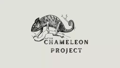 The Chameleon Project by Michael Shaw.