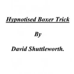 Hypnotised Boxer Trick by David Shuttleworth