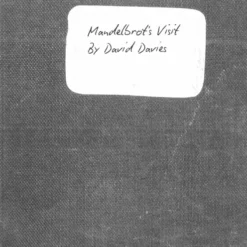 Mandelbrot's Visit by David Davies