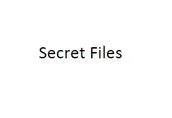 Secret Files by Vladimir Zyuzin ( Instant Download )