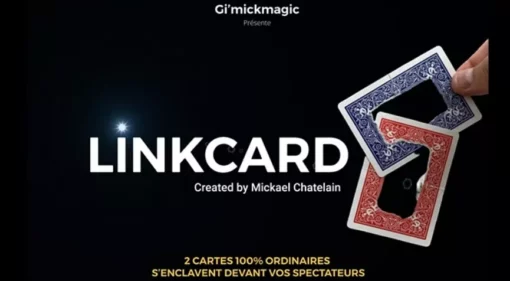 Mickael Chatelain - LINKCARD.