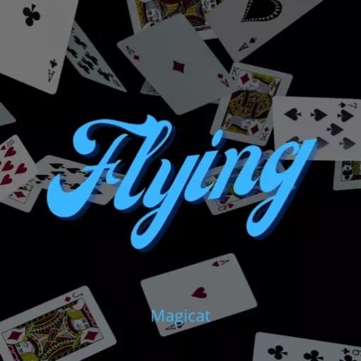 Magicat – FLYING ( Instant Download )