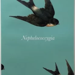 Helder Guimaraes - Nephelococcygia ( Instant Download )