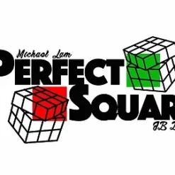 Perfect Square by JB Dumas and Michael Lam