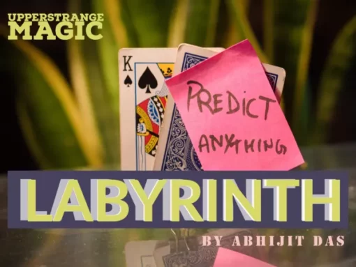 Abhijit Das – LABYRINTH