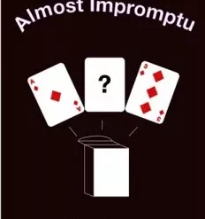 Almost Impromptu by Aaron Plener (Ebook Download)