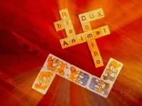 Ryan Dux – Animal Domino