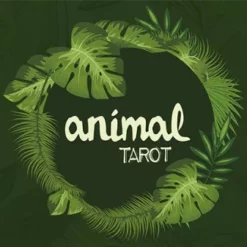 [Magic Video] The Other Brothers – Animal Tarot (Cards not included)