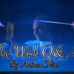 Anthem Flint – The Wish Q & A