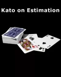 Kato on Estimation by Hideo Kato