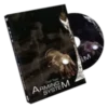 Arming System by Chef Tsao ( Instant Download )