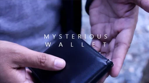 Arnel Renegado – Mysterious Wallet (Instant Download)