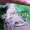 [Magic Video] Arnel Creations - SCARECOIN