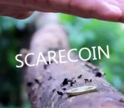 Arnel Creations - SCARECOIN