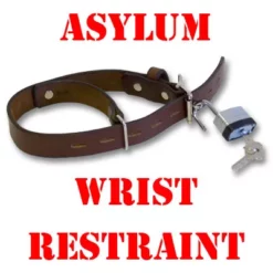 Asylum Wrist Restraint by Blaine Harris.