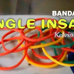 Kelvin Trinh – Bandarious Single Insane