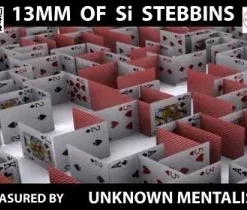 13mm Of Si Stebbins by Unknown Mentalist