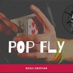 Bizau Cristian – The Vault – Pop Fly