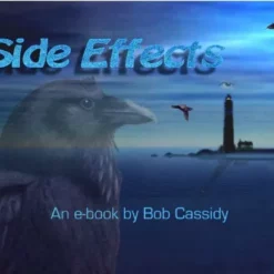 Bob Cassidy - Side Effects