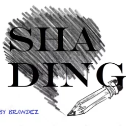 Brandez – Shading ( Instant Download )