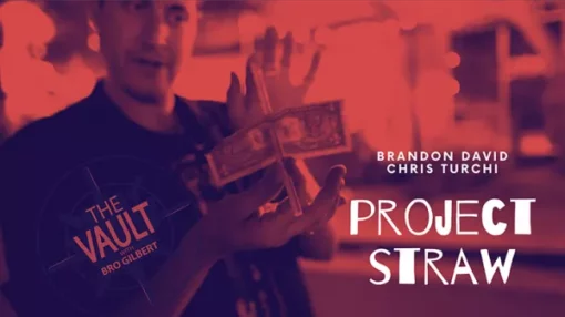 Brandon David & Chris Turchi – Project Straw ( Instant Download )