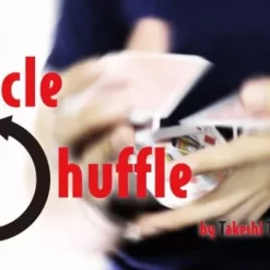 Takeshi Taniguchi – Cycle Shuffle