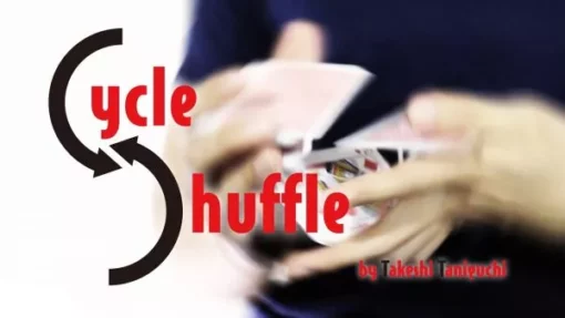 Takeshi Taniguchi – Cycle Shuffle