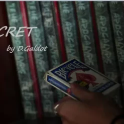 D.Galdot – Secret (Instant Download)