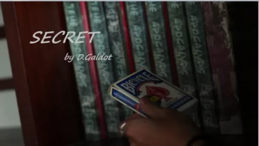 D.Galdot – Secret (Instant Download)